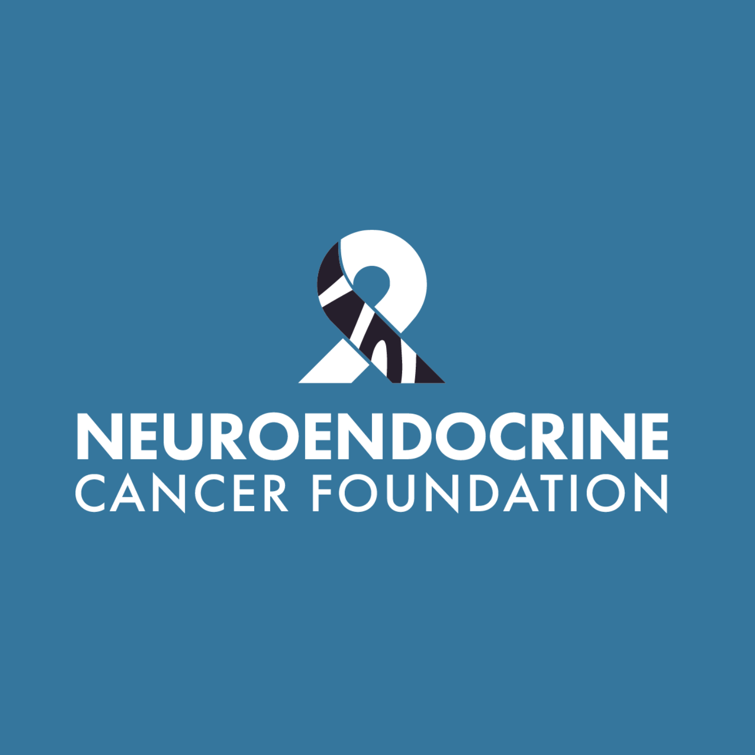 June 14: 2025 Neuroendocrine Cancer Foundation's Annual Patient Conference - logo